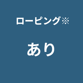 ローピングデバイス